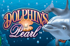 Dolphin`s Pearl Classic