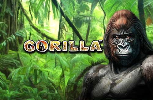 Gorilla