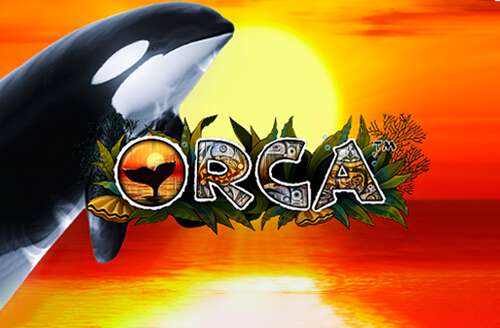 Orca